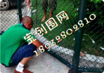 體育場(chǎng)圍網(wǎng)