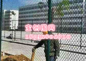 圍網