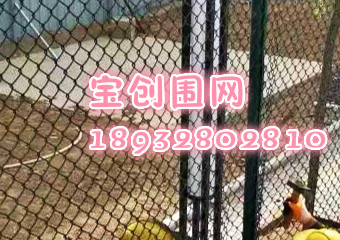 PVC包塑圍網(wǎng)